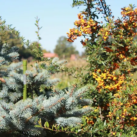 Apartament Luke Dubrave Gornje