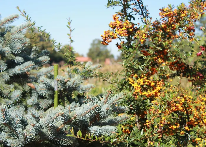 Apartment Luke Dubrave Gornje